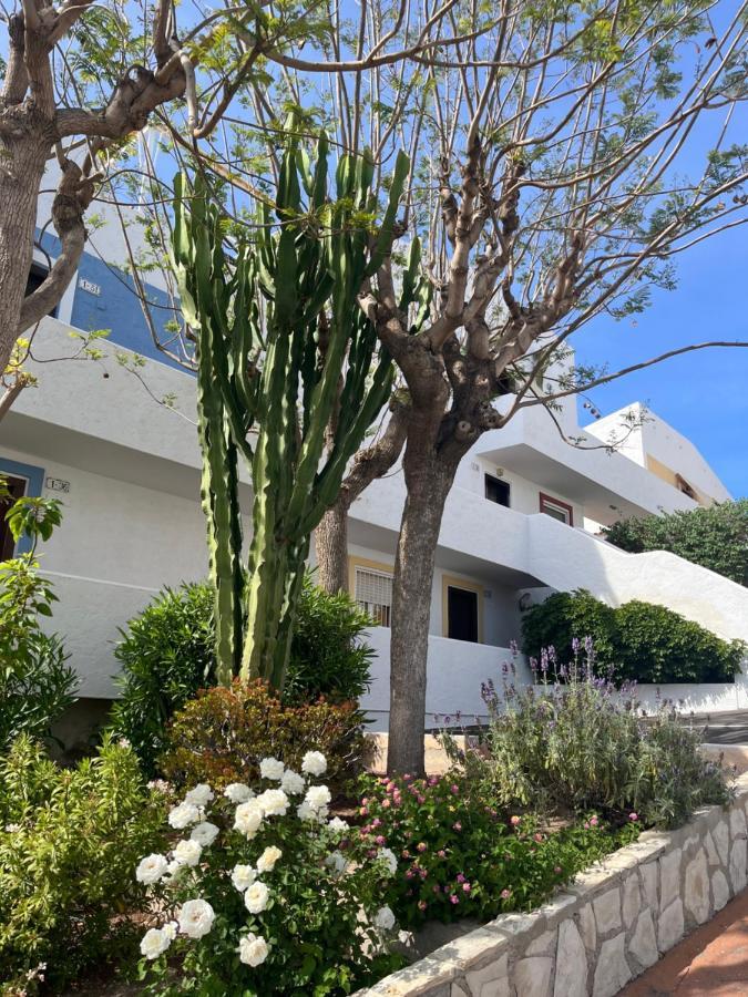 Roymar 14 Playa Apartment เบนิดอร์ม ภายนอก รูปภาพ